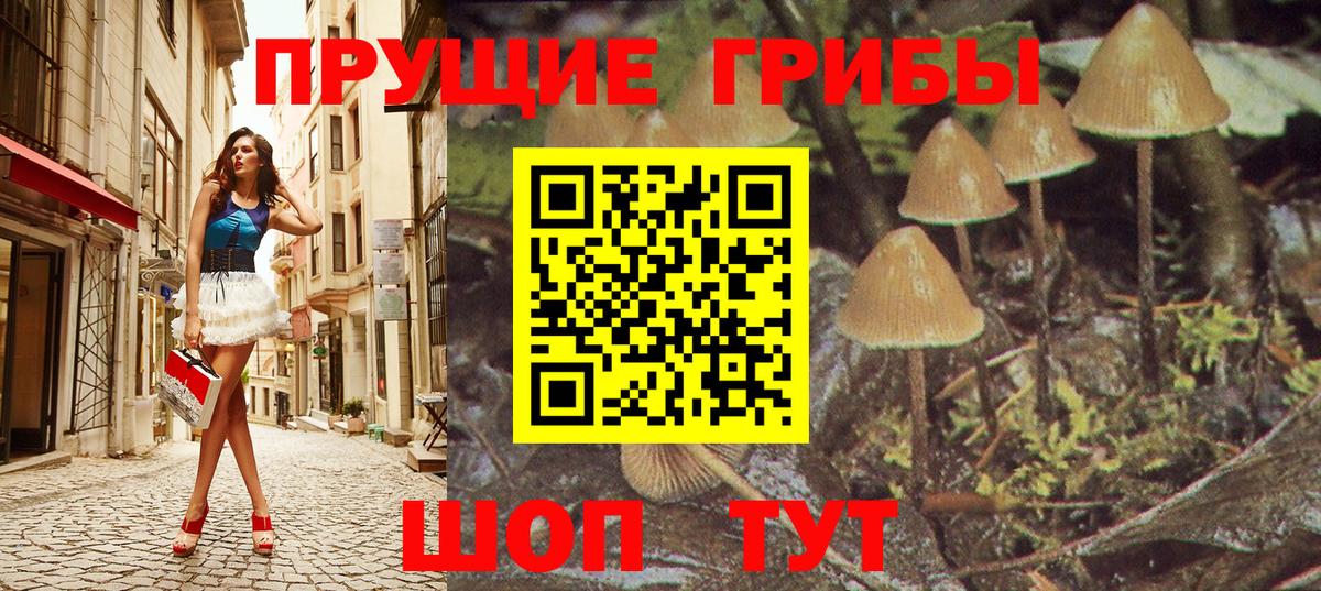 Щёкино  Псилоцибиновые грибы Psilocybe  Вход с VPN 